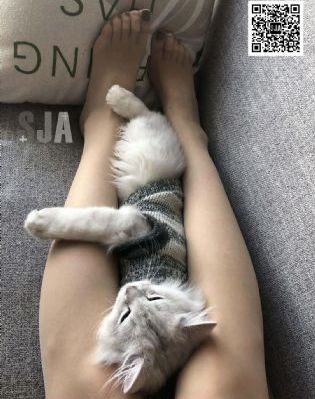 艾草草免费视频观看_DVD电影完整版在线观看